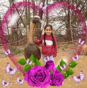 Meet your Posher, Maria